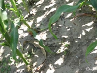 Risky Public Blowjob Near the Road - Facial Cumshot andCumwalk