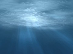 Obedience mindwash trance