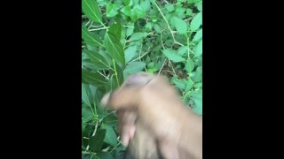 pissing and then jerking off in the woods