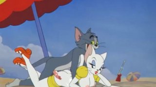 Pornographic Spoof Of Tom And Jerry