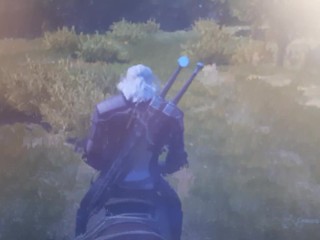 Tijdens Het Computerspel "the Witcher" is Het Een Plezier Om AF Te Maken.