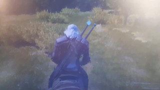 During the computer game "The Witcher" it is a pleasure to finish.