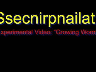 Vídeo Experimental De SsecnirpNailati: Verme Em Crescimento