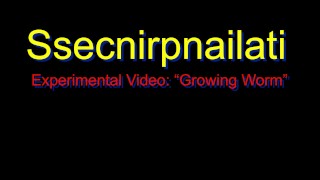 Video experimental de SsecnirpNailati: Gusano en crecimiento