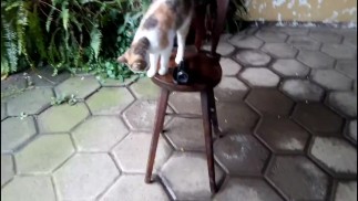 SixPack Моча Четверг 14-е УГОЛ 4 ДЛИННАЯ ПИСА