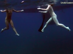 Sea adventures on Tenerife underwater