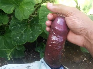 Daddy masturbate cock in the garden