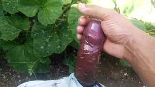 Daddy masturbate cock in the garden