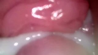 Creamy Pussy For You To Lick