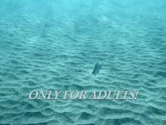 Video Young sluts swim naked and alone