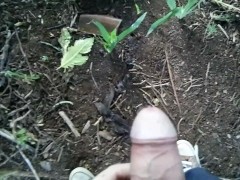 SixPack Piss Wednesday 12th ANGLE 5