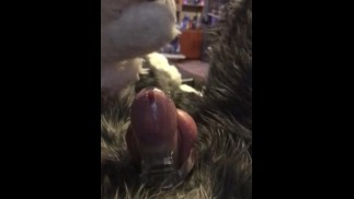 Cuteファースーツバニーが貞操に閉じ込められお漏らし