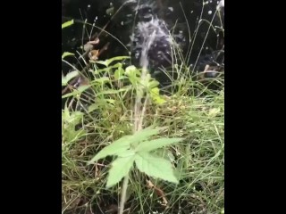 Pee in lake video thumbnail