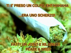 prova greenscreen e effetti video - Screenshot 16 of 16 - Kink