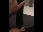 Preview 1 of Fucking my tiny pussy with a huge cucumber and squirting everywhere while wearing ripped pantyhose