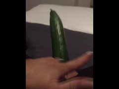 Fucking my tiny pussy with a huge cucumber and squirting everywhere while wearing ripped pantyhose
