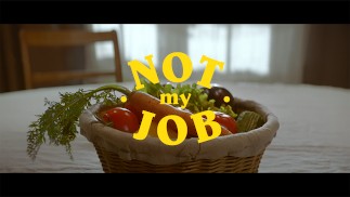 Не моя работа
