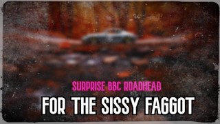 Sissy Faggot Gets A Surprise BBC Roadhead