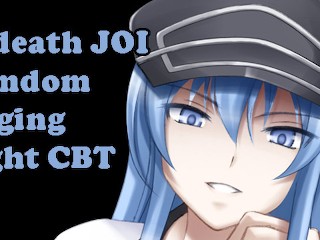 Esdeath Leert Je Les (Hentai Aftrekinstructies, Femdom, Edging, CBT)