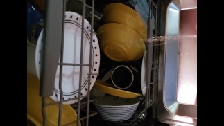 Spraying My Dishes With Pee