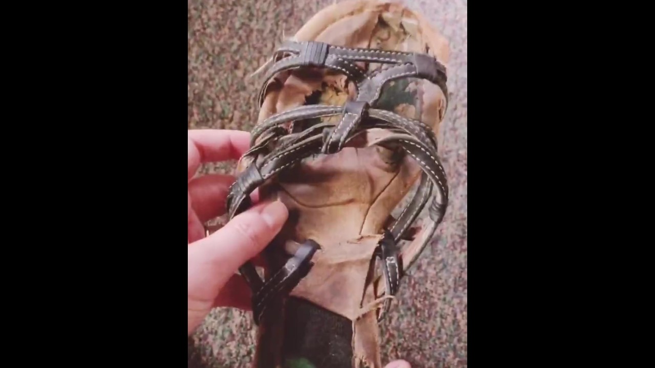 Someone please Buy me new Sandals!! - Pornhub.com