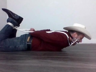 Hogtied Vaquero De Bridled