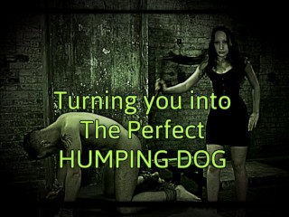 Turning you into the Perfect Humping Dog