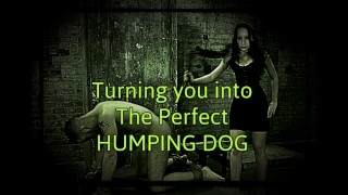 Trasformandoti Nel Perfetto Cane Da Humping