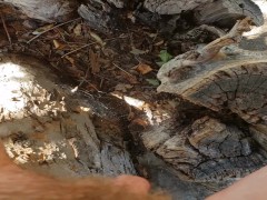 FTM Pee In Tree - Screenshot 11 of 16 - Public