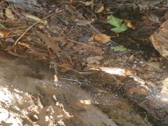 FTM Pee In Tree - Screenshot 15 of 16 - Piss