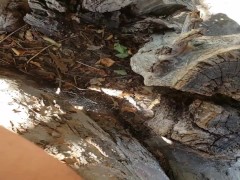 FTM Pee In Tree - Screenshot 4 of 16 - Pee