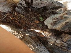 FTM Pee In Tree - Screenshot 5 of 16 - Piss