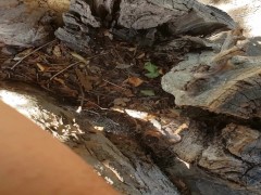 FTM Pee In Tree - Screenshot 6 of 16 - Public