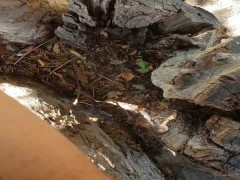 FTM Pee In Tree - Screenshot 7 of 16 - Outside