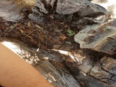 FTM Pee In Tree - Screenshot 8 of 16 - Ftm