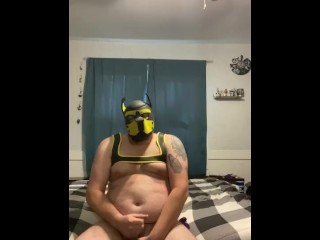 Pup Plays with self