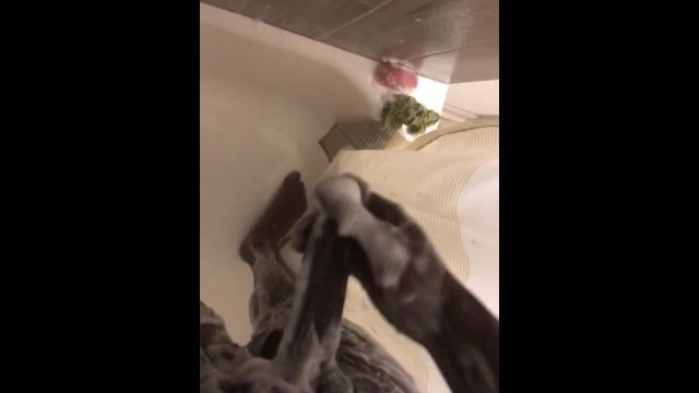 Soapy Long Dick