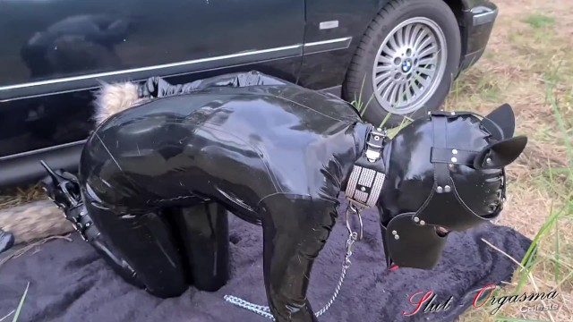 Dog Slut-Orgasma Celeste Dog Training Outdoor