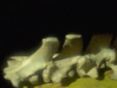 Basement - Screenshot 11 of 16 - Scary