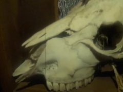 Basement - Screenshot 13 of 16 - Horror