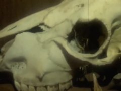Basement - Screenshot 14 of 16 - Scary