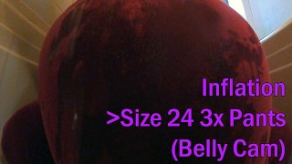 WWM - Size 24 Pants Belly Cam