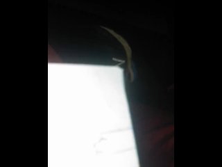 CRESC3NT SELENA KICK