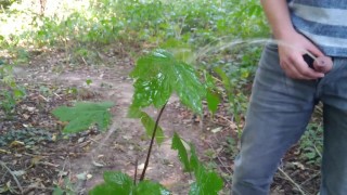 Peeing on a Plant - Pornhub.com