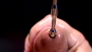 Звучащий пенис-Plug XXXL крупным планом красивое существо