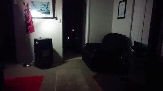 Щенок принцессы Кэт принимает приказы своего хозяина