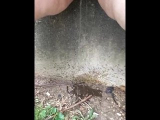mom, toilet, outdoors, pissing