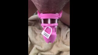 Sissy transexual travesti atlética chica caliente en su linda jaula de castidad rosa 