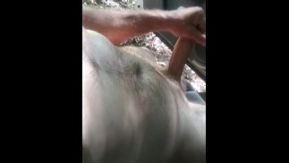 Дрочка на открытом воздухе и сперма на общественной улице