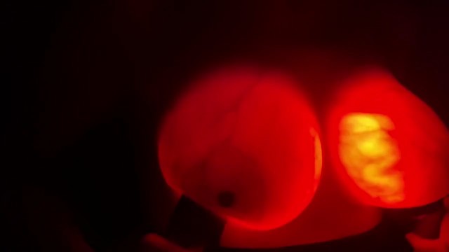 Glow in the Dark Boobs. Boob Nightlights. PBelle27 - Pornhub.com